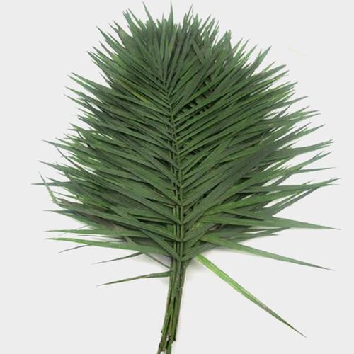 Teepee Greenery