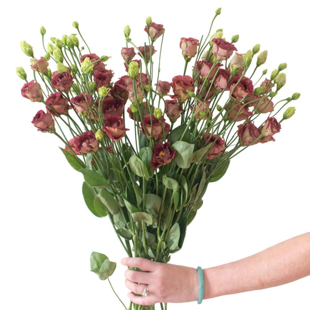 Brown Lisianthus Flower