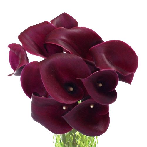 Cranberry Mini Calla Flower