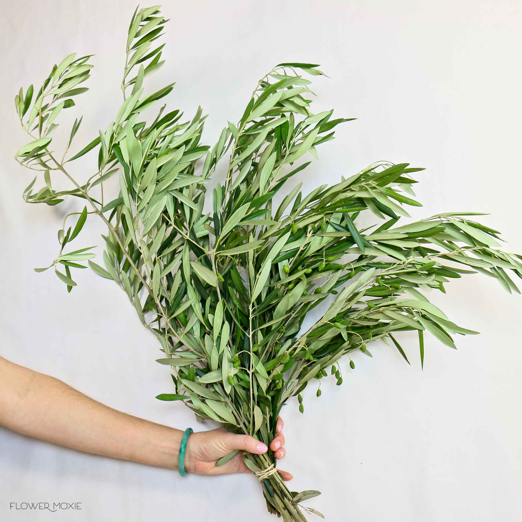 Olive Tips Greenery