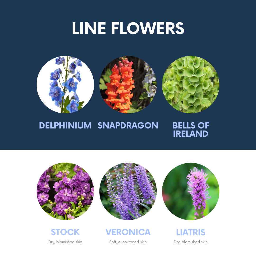 Classic Bloom Box