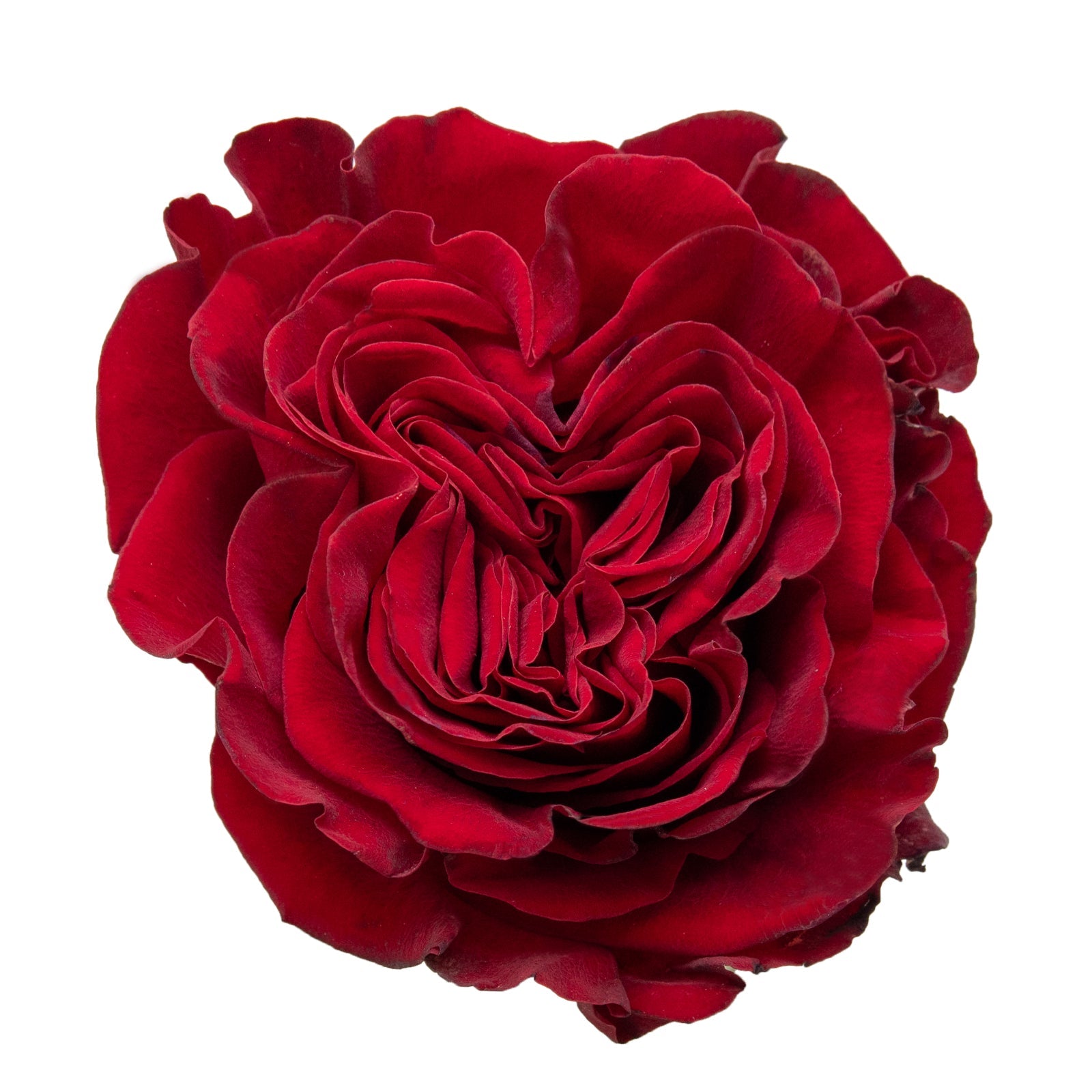 BUILD YOUR OWN BLOOM BOX