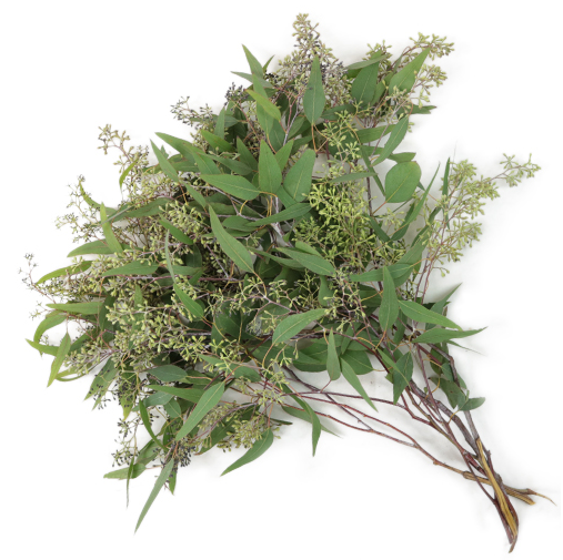 Seeded Eucalyptus Greenery