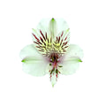 deny
