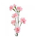 MINI CARNATION - BLUSH