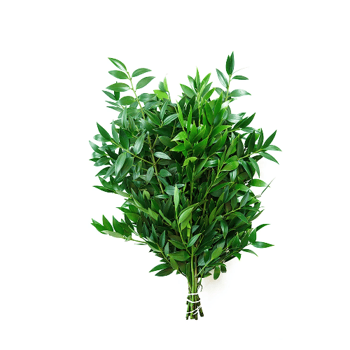 Nagi Greenery
