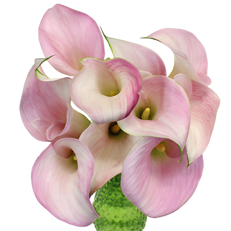 Blush Mini Calla Flower
